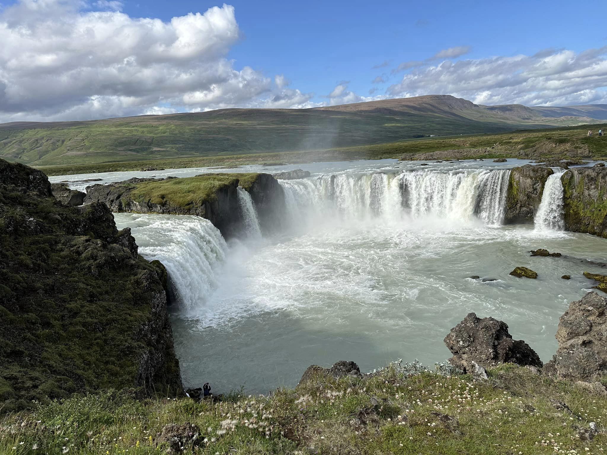 Life from the land of fire and ice. Saw plenty of both above the arctic circle.